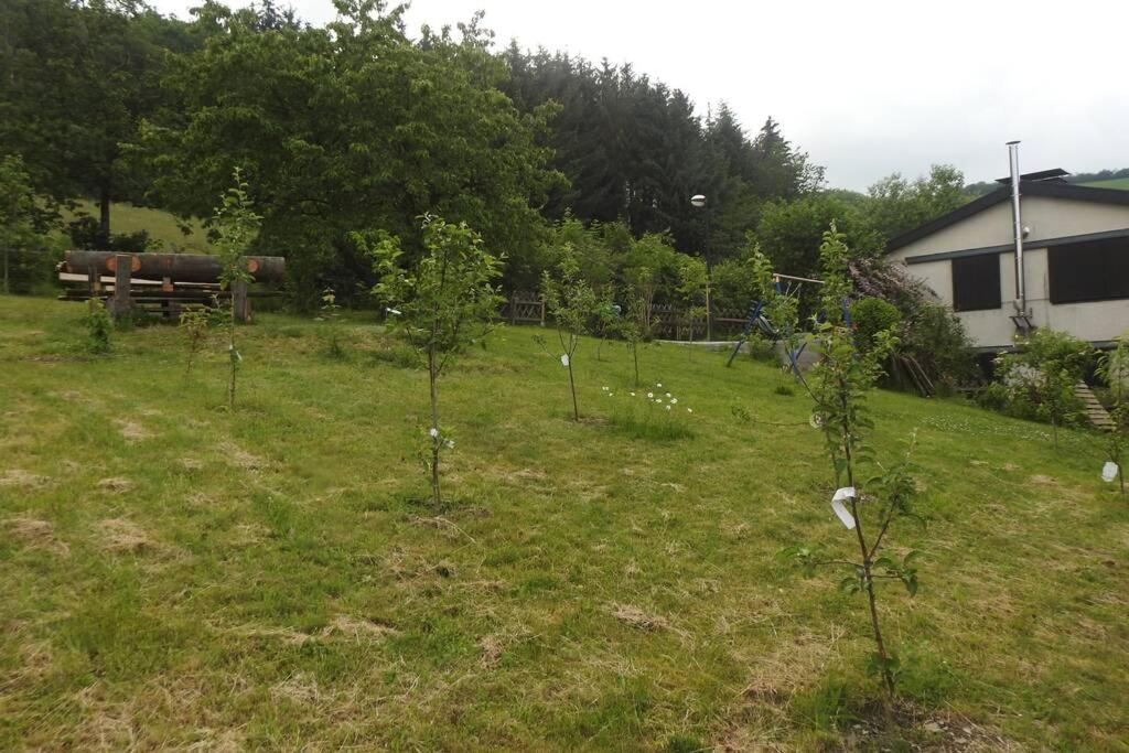 Bergblick Apartamento Medebach Exterior foto