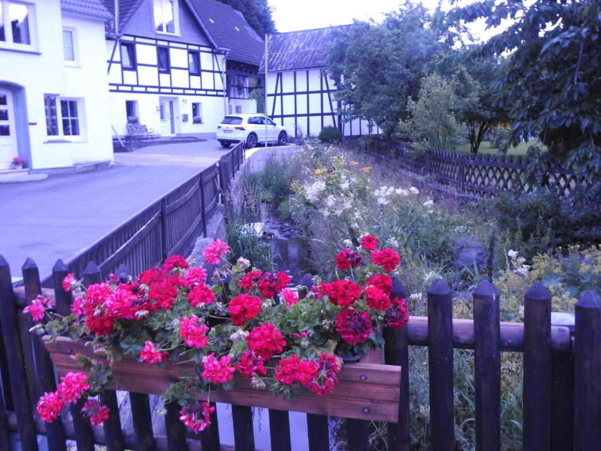Bergblick Apartamento Medebach Exterior foto
